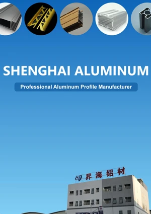 Shenghai Aluminum Overview.pdf