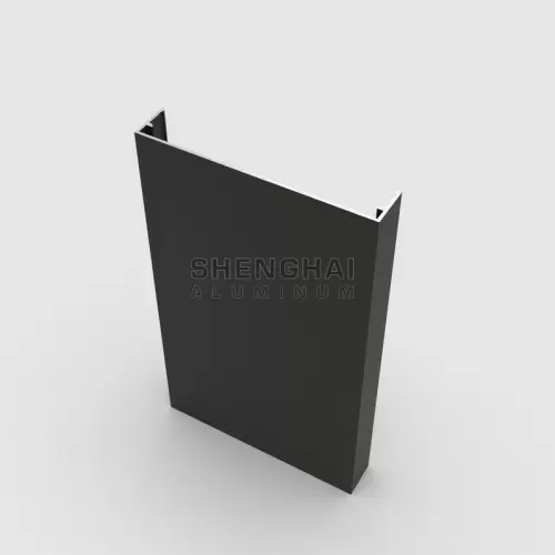 aluminum-frame-curtain-wall-profile-picture-5